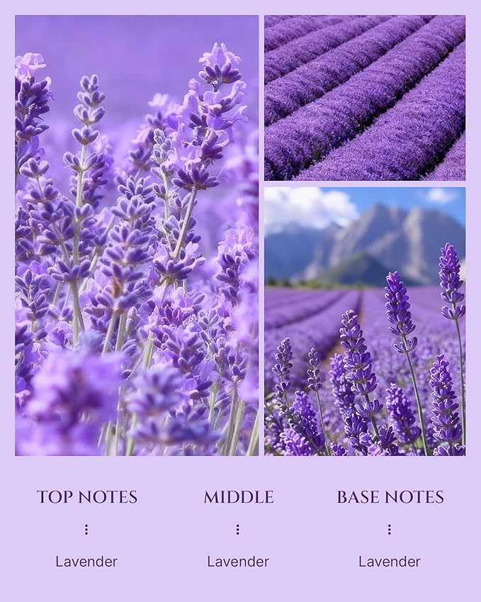 Aromadd Lavender Diffuser Oil Inspired by Luxury Hotel Scent, Essential Oils for Waterless Diffuser, Pure Soothing Lavender Aroma, Long-Lasting & Natural Home Fragrance - 3.38 fl oz (100 mL) - Bloomnest