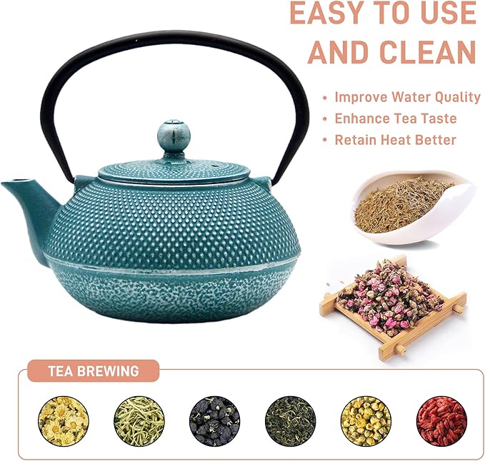30.4oz Small Cast Iron Teapot, Tea Kettle with Stainless Steel Infuser for Loose Tea, Coated with Enameled Interior, Japanese Style Tetsubin for Stovetop Safe(900ml) - Bloomnest