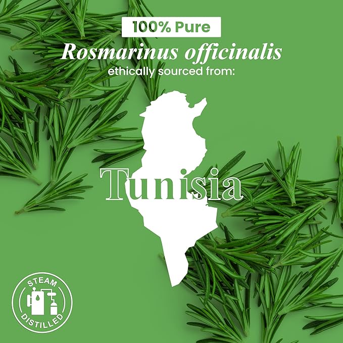 Handcraft Blends Organic Rosemary Essential Oil – 1 Fl Oz – 100% Pure and Natural – Premium Grade Essential Oil for Diffuser and Aromatherapy HandcraftBlends