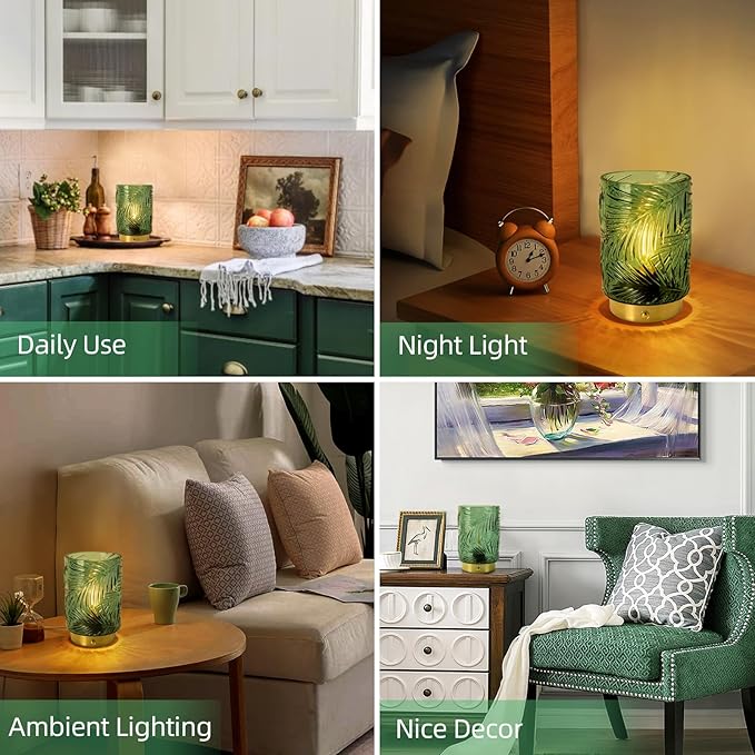 Rechargeable Battery Powered Lamp, Cordless Emergency Lamps for Power Outage, Decorative Small Accent Lamps for Entryway/Stairway/Bathroom/Corner, Dimmable Glass Battery Operated Table Lamp Indoor - Bloomnest