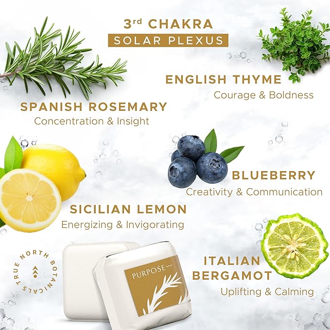 Large Shower Steamers (12 Pack-1.75oz Each) Chakra Aromatherapy Optimism & Self-Esteem-Ideal Men/Women/Teens Christmas & Birthdays (3rd Chakra - Blueberry, Bergamot, Thyme, & Lemon) - Bloomnest