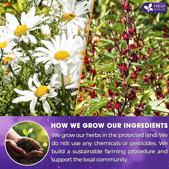 Refreshing Mint Herbal 60 Tea Bags – Special Blend Of Spearmint and Peppermint with Chamomile, and Top Herbal Ingredients for Digestive Comfort & Relaxation, Caffeine-Free, Naturally Sweet, Non GMO - Bloomnest