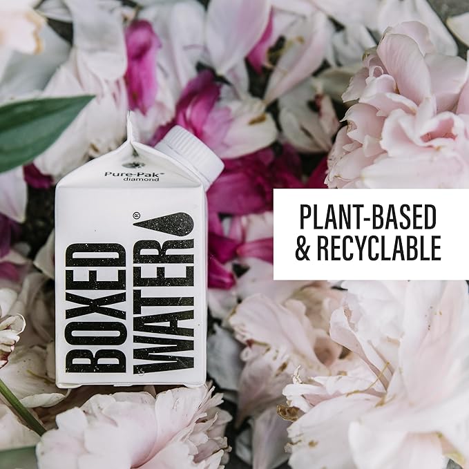 Mini Boxed Water (8.5 oz., 24 Pack) – Better Than Premium Plastic Purified Drinking Water in Plant-Based Cartons, BPA-Free, Refillable Cartons, Lunchbox Ready - Bloomnest