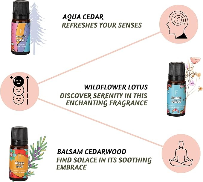 Folkulture Essential Oils for Diffusers Oil | Set of 6 Fragrance Oil, Patchouli & Cedarwood | Essential Oils for Diffusers | Diffuser Oils Scents for Home - Bloomnest
