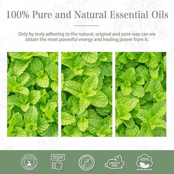 Peppermint Essential Oil, 1.01Fl.Oz (30ML) PHATOIL Pure Essential Oil Singles for Aromatherapy Diffusers, Humidifiers, Great for DIY Candle and Soap Making, Gift for Friend - Bloomnest