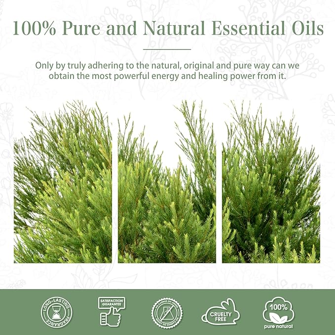 Tea Tree 3.38fl.oz Essential Oil, PHATOIL Pure Aromatherapy Oils for Diffuser, Humidifier, Perfect for DIY Soap, Candle, Bath Bombs Making(100ml) - Bloomnest