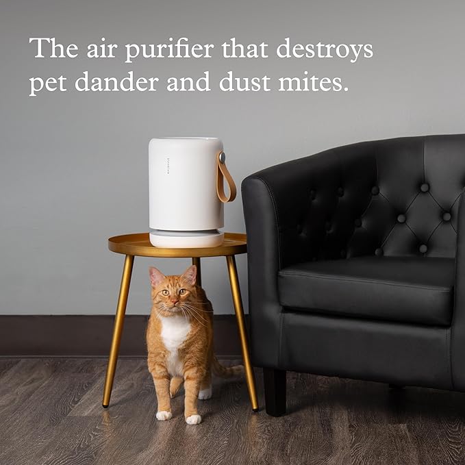 Molekule Air Purifier Mini+ - Purifies Rooms Up to 250 Sq Ft - Smart Purifier with High Pollutant Capture Rate - Air Quality Monitoring Capabilities - White - Bloomnest