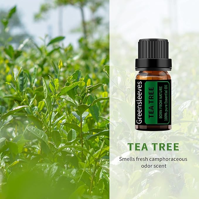 GREENSLEEVES Rose and Tea Tree Essential Oil Set, 2 x 10ml Pure Plant-Based Fragrance Oil for Aromatherapy, Essential Oils for Diffuser, Massage, Bath Bomb, Scented Candle Soap Making GREENSLEEVES