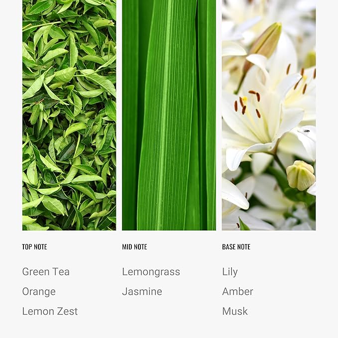 Hotel Collection Diffuser Oil - California Love - Aromatherapy Essential Fragrance Oil - Green Tea, Orange, and Lemongrass - 500mL 16.9 Fl oz - Bloomnest