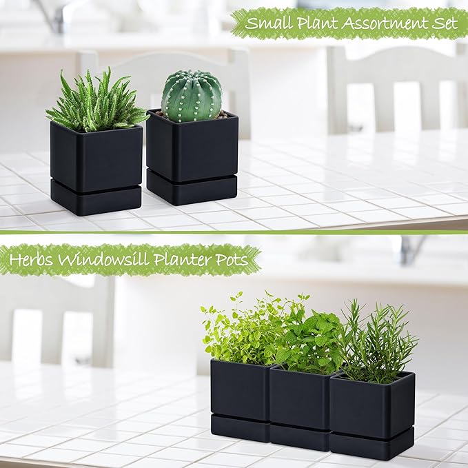 4 Inch Herb Planter Pot, Plastic Planter with Drainage Holes and Saucer, Modern Decorative Gardening Pot for Indoor Plants, Flowers, Herbs, Succulents, Black, Set of 3, 76-Y-B-3 - Bloomnest