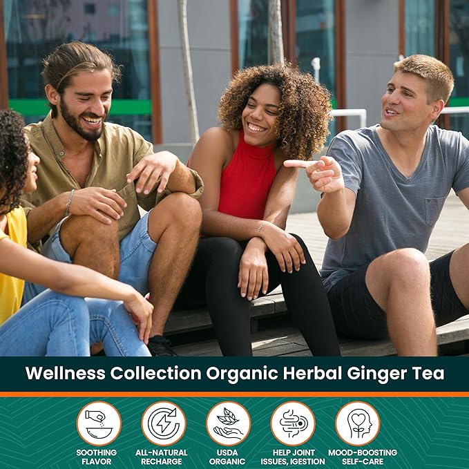 Herbaly Wellness Collection Organic Herbal Ginger Tea, 70 g, 28 Count Bag (Pack of 1) - Bloomnest