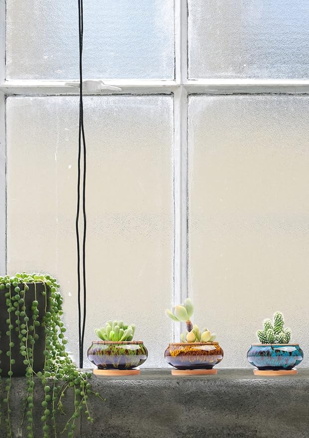 Cute Ceramic Succulent Garden Pots, Planter with Drainage and Attached Saucer, Set of 5 -Plants Not Included (Burner) - Bloomnest