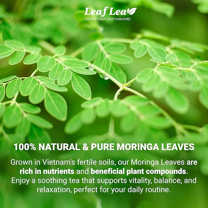 LeafLea Moringa Tea, 120 Fresh-Sealed Tea Bags, Premium Herbal Blend from 100% Natural Moringa Leaves, Supports Digestion & Immune Health, Caffeine-Free, Sugar-Free, Vegan, Non-GMO - Bloomnest