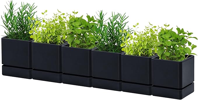 4 Inch Herb Planter Pot, Plastic Planter with Drainage Holes and Saucer, Modern Decorative Gardening Pot for Indoor Plants, Flowers, Herbs, Succulents, Black, Set of 6, 76-Y-B-6 - Bloomnest