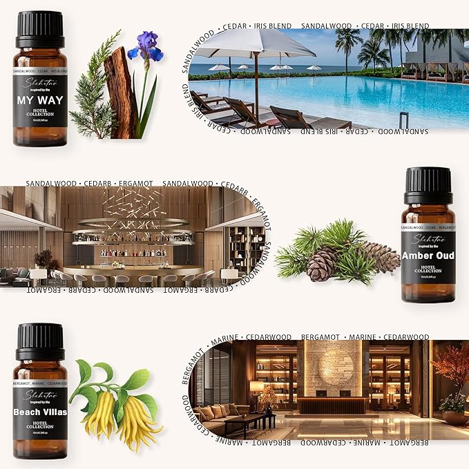 Hotel Diffuser Oil Gift Set – Luxury Hotel Inspired Fragrance Oils for Diffusers, Premium Aromatherapy Home Fragrance, Long Lasting Scent for Bedroom, Spa & Office (Hotel Fragrance Set 10ml*6) - Bloomnest