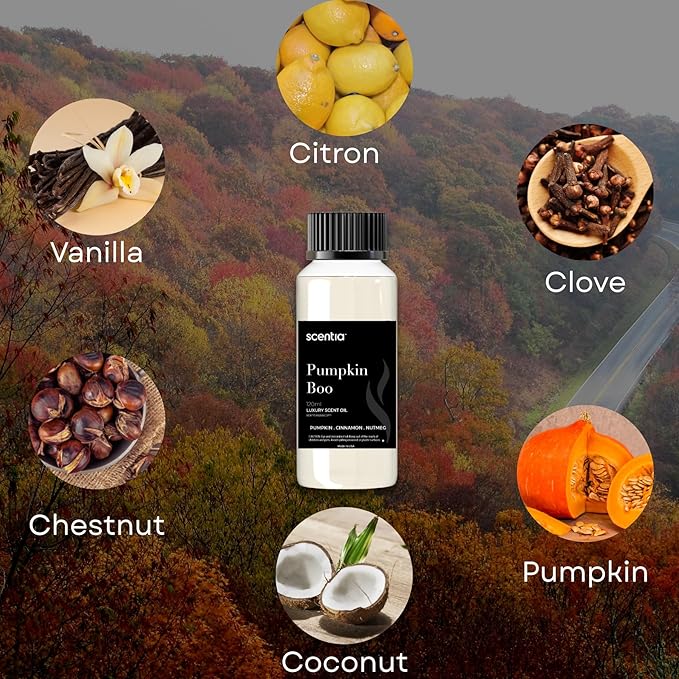 Pumpkin Boo Essential Oil – 120ml Premium Fall Fragrance Oil for Diffusers, Candles & DIY – Cozy Pumpkin Spice Scent for Home, Autumn Décor & Thanksgiving Gifts Scentia