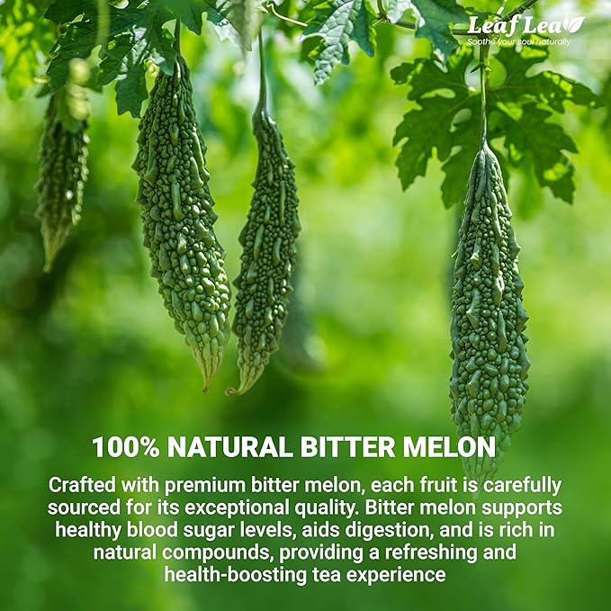 LeafLea 80 Bitter Melon Tea Bags, Premium Dried Momordica Charantia (Melon Amargo, Gohyah) Herbal Fruit Tea | Supports Wellness and Digestion | Caffeine-Free, Sugar-Free, Vegan, Pack of 2 - Bloomnest