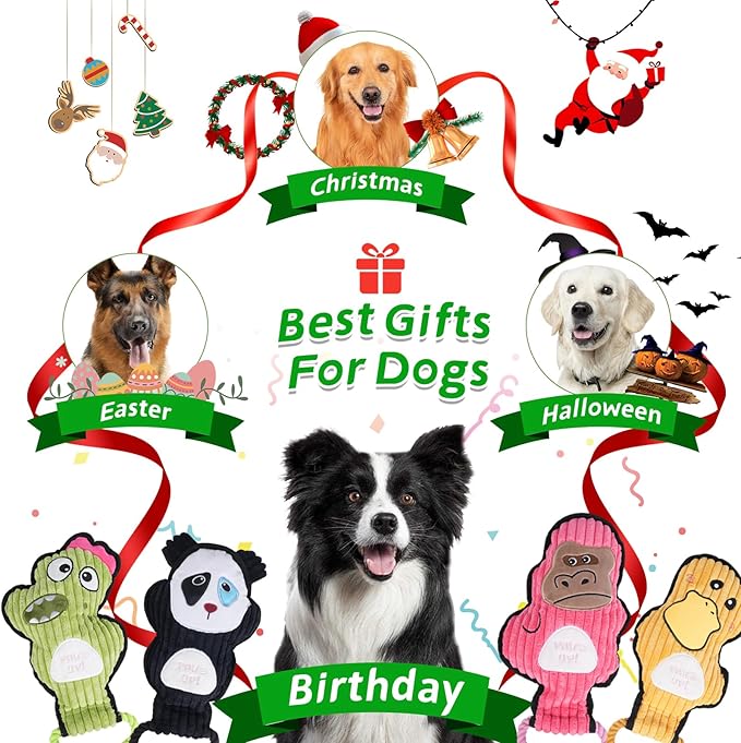2-Pack Squeaky Dog Toys & Tough Tug of War Set - No Stuffing Chew-Resistant Plush Toys to Keep Them Busy, Best Birthday Gift for Small/Medium/Large Breeds (Ducks & Dino) - Bloomnest