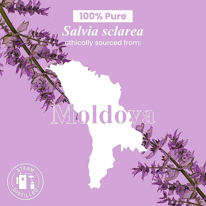 Handcraft Blends Clary Sage Essential Oil – 1 Fl Oz – 100% Pure and Natural – Premium Grade Essential Oil for Diffuser and Aromatherapy, Skin, Massage, Candle and Soap Making Fragrance - Bloomnest