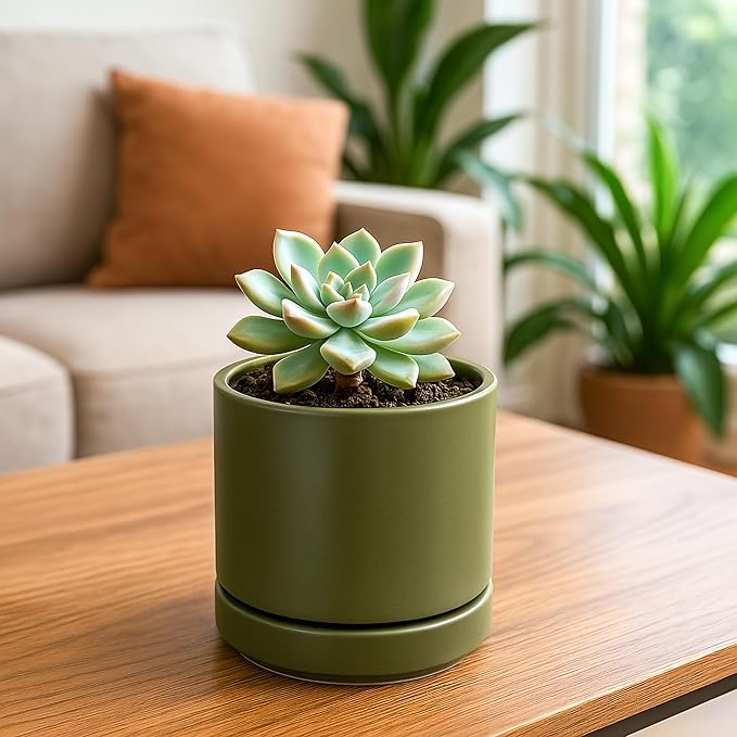D'vine Dev Set of 2 Plants Pots, 4.7 Inch Ceramic Planter Pot for Plants with Drainage Hole and Saucer, Olive, 94-V-B-J - Bloomnest