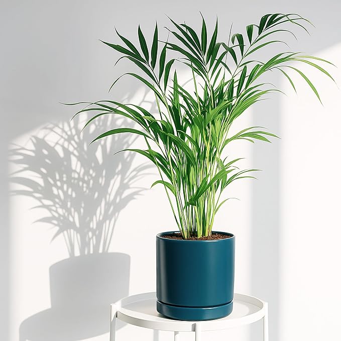 D'vine Dev 4.7 Inch & 6.5 Inch Ceramic Planter Pots for Plants with Drainage Hole and Saucer, Small Plant Pots Set, Teal, 94-G-S-9 - Bloomnest