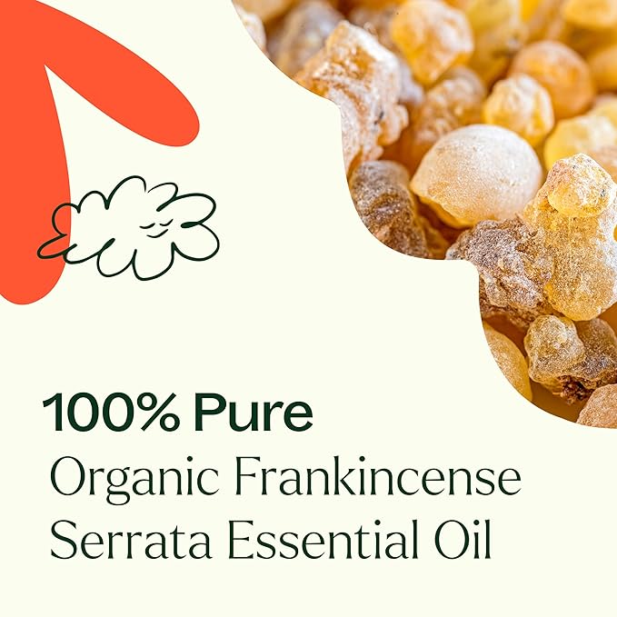Plant Therapy Organic Frankincense Serrata Essential Oil 100% Pure, USDA Certified Organic, Undiluted, Natural Aromatherapy, Therapeutic Grade 30 mL (1 oz) - Bloomnest