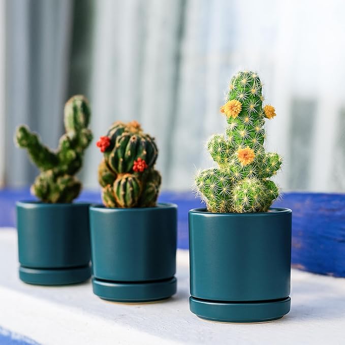 D'vine Dev Set of 2 Plants Pots, 3.5 Inch Ceramic Planter Pot for Plants with Drainage Hole and Saucer, Teal, 94-V-A-9 - Bloomnest