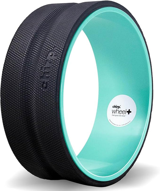 Chirp Wheel Foam Roller – Targeted Back & Neck Relief, Lumbar Spine Stretcher, Spinal Decompression Back Stretcher, Massage Roller with Density Foam for Physical Therapy, Supports 500lbs, 12-Inch Mint