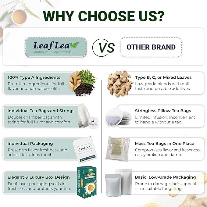 LeafLea Green Tea with Ginger, 80 Tea Bags (2 Packs), Natural Green Tea with Ginger Root, Lightly Sweetened with Stevia, Supports Digestion and Immunity, Low Caffeine, Non-GMO, Gluten-Free - Bloomnest