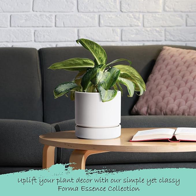 6 Inch Modern Plastic Round Pots for Indoor Houseplants and Herbs, Pack of 3 Planter Pot with Drainage Hole & Saucer, Deep Water Catch Tray, Straight Cylindrical Pot for Plants, Matte White, 23-D-S-1 - Bloomnest