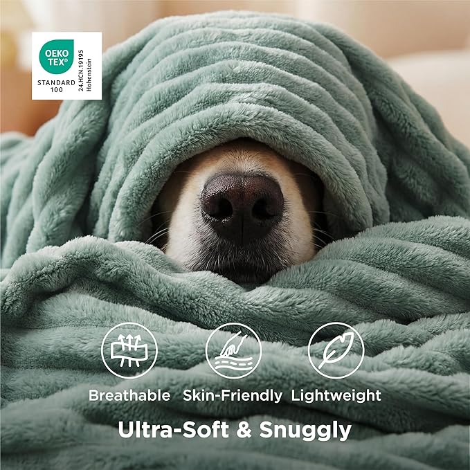 Bedsure GentleSoft Christmas Throw Blanket for Couch - Cozy Soft Green Blankets for Women, Cute Small Fleece Christmas Throws Gifts for Teens Girls Room Home Decor, Sage Green, 50x60 Inches - Bloomnest