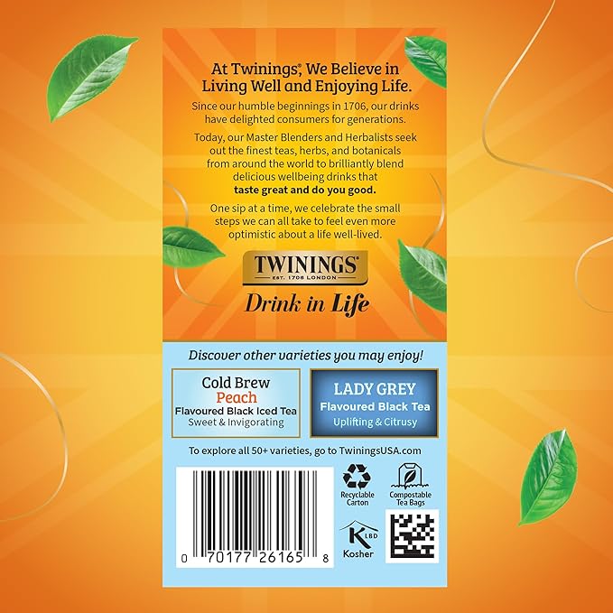 Twinings English Classic Cold Brew Iced Tea Bags, 20 Count (Pack of 6), Unsweetened Black Tea, Caffeinated, 120 Teabags - Bloomnest