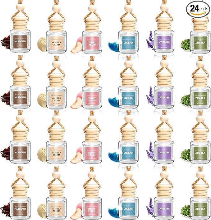 AROIC 24 Pack Car Air Freshener Diffuser, Long Lasting Hanging Fragrance Fresheners Set, Essential Oil Diffuser Scents Accessories, Cute Car Interior for Women & Men - Bloomnest