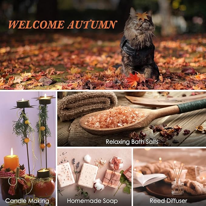 SALUBRITO Fall Fragrance Oils Set, Autumn Essential Oil for Diffuser, Candle Making, Aromatherapy Oils Gift - Cinnamon, Pumpkin Spice, Vanilla, Snickerdoodle, Spiced Cider, Nutmeg, 6x10ml - Bloomnest