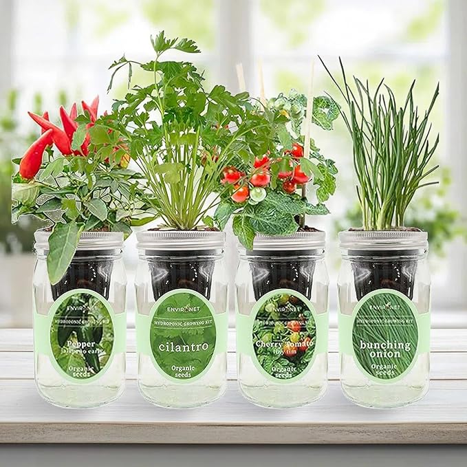 Hydroponic Mason Jar Indoor Garden Organic Seed Starter Kits - Zesty Salsa Growing Kits, Gardening Gift (Jalapeno Pepper, Cilantro, Cherry Tomato - Tiny Tim, Bunching Onion)