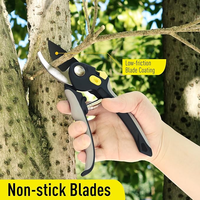 Jardineer Pruning Shears for Gardening, 3Pack Stainless Steel Garden Shears Set include Bypass Hand Pruner, Anvil Pruning Scissor, Pruning Snips for Flowers, Herbs and Small Branches - Bloomnest