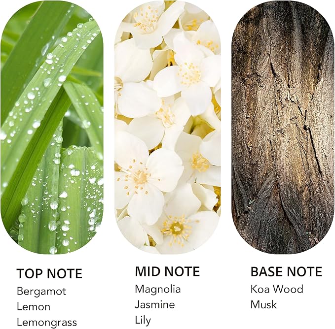 Luxury Hotel Scent 24K Aura Diffuser Oil Waterless Essential Aromatherapy for Cold Air & Car Diffusers – Long Lasting Refill for Large Room & Home - Signature Lemongrass (500ml/16.9Fl oz) - Bloomnest