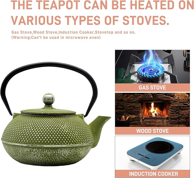 Cast Iron Teapot Tea Kettle with Stainless Steel Infuser for Stovetop Safe Coated with Enameled Interior Japanese Green Tetsubin for Loose Tea(30.4oz/900ml) - Bloomnest