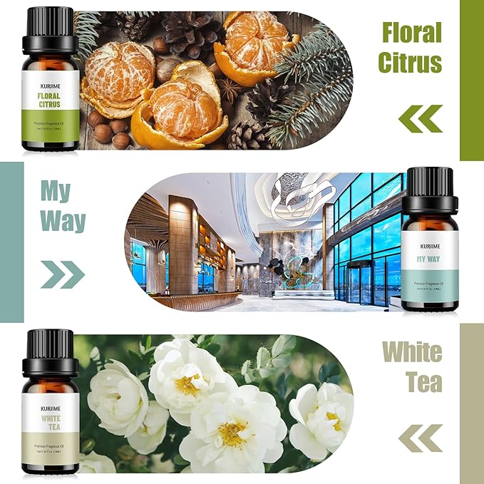Fragrance Oils, Hotel Collection Diffuser Oil, Luxury Hotel Essential Oil Set for Diffuser, Soap & Candle Making Scents - Luxury Night, Jasmine & Mint, Lemon & Thyme, White Tea, Floral Citrus, My Way - Bloomnest