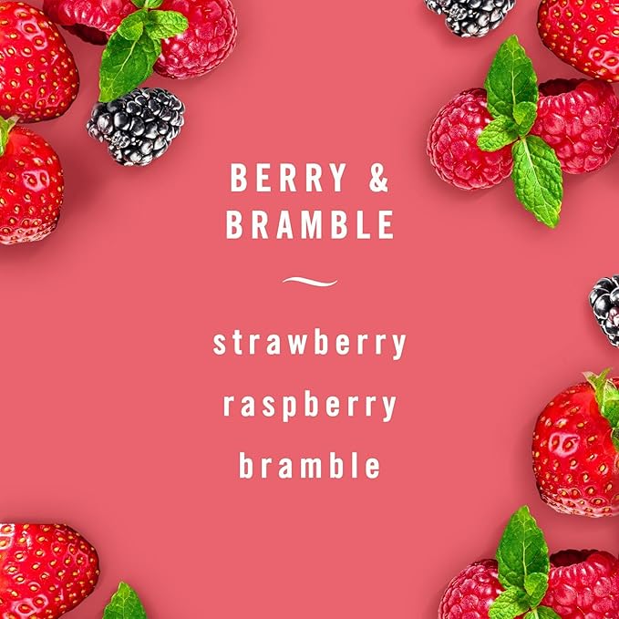 Febreze Car Air Freshener Vent Clip Berry & Bramble Scent, .06 oz. Car Vent Clip, 2 Count - Bloomnest