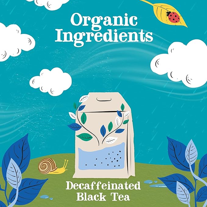 Clipper Tea, Organic Decaf, Plant-Based, Decaffeinated Black Tea, Great Over Ice, 1 Pack, 80 Unbleached Tea Bags - Bloomnest