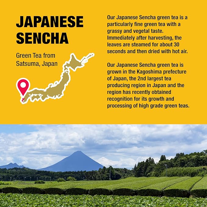Tiesta Tea - Japanese Sencha Tea, Loose Leaf, Single Origin Premium Sencha Green Blend, Pure Unblended Medium Caffeinated Blend, Make Hot or Iced & Up to 200 Cups, 16oz Resealable Bulk Pouch - Bloomnest