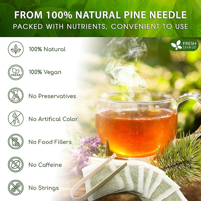 FreshDrinkUS, Pine Needle Tea Bags – 75 Tea Bags, Naturally Caffeine-Free, Refreshing Herbal Tea, Wild-Harvested Pine Leaves, Aromatic and Soothing – Non-GMO & Eco-Friendly Packaging - Bloomnest