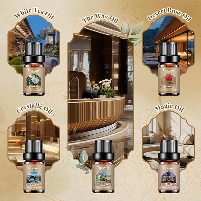 Hotel Diffuser Oils Gift Set, Luxury Fragrance Oil Blend, Hotel Essential Oils for Diffusers for Home, Candle & Soap Making Scents, More 10x5ml Scented Oil, Aromatherapy Oils Kit - Bloomnest