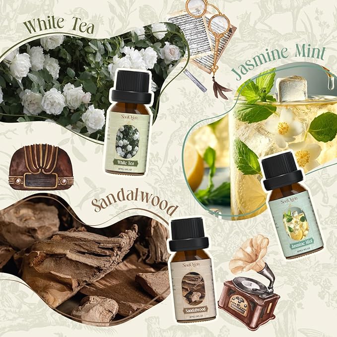 Hotel Fragrance Oils Set, Essential Oil Gift Set for Diffuser, Hotel Scent Diffuser Oil, Diffuser Scents Oil for Home, White Tea, Jasmine Mint, Sandalwood, Luxury Night, Seaside, Myway - Bloomnest