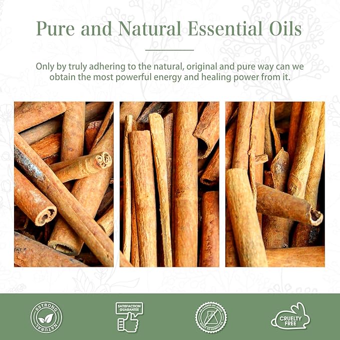 Cinnamon Essential Oil, 1.01Fl.Oz (30ML) PHATOIL Pure Essential Oil Singles for Aromatherapy Diffusers, Humidifiers, Great for DIY Candle and Soap Making, Gift for Friend - Bloomnest