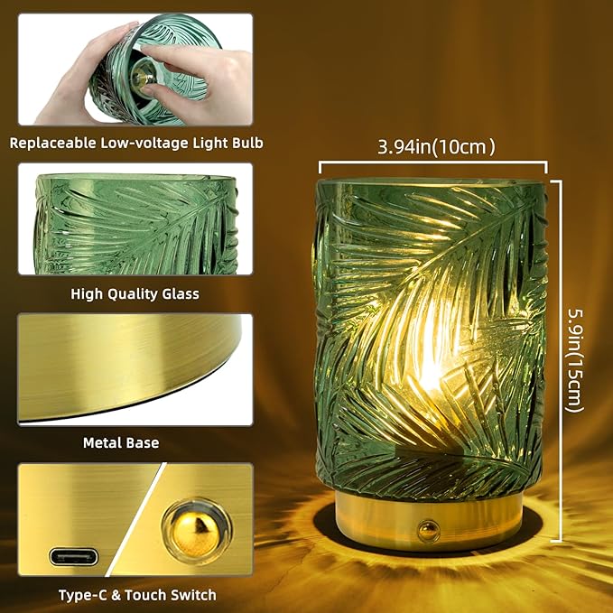 Rechargeable Battery Powered Lamp, Cordless Emergency Lamps for Power Outage, Decorative Small Accent Lamps for Entryway/Stairway/Bathroom/Corner, Dimmable Glass Battery Operated Table Lamp Indoor - Bloomnest