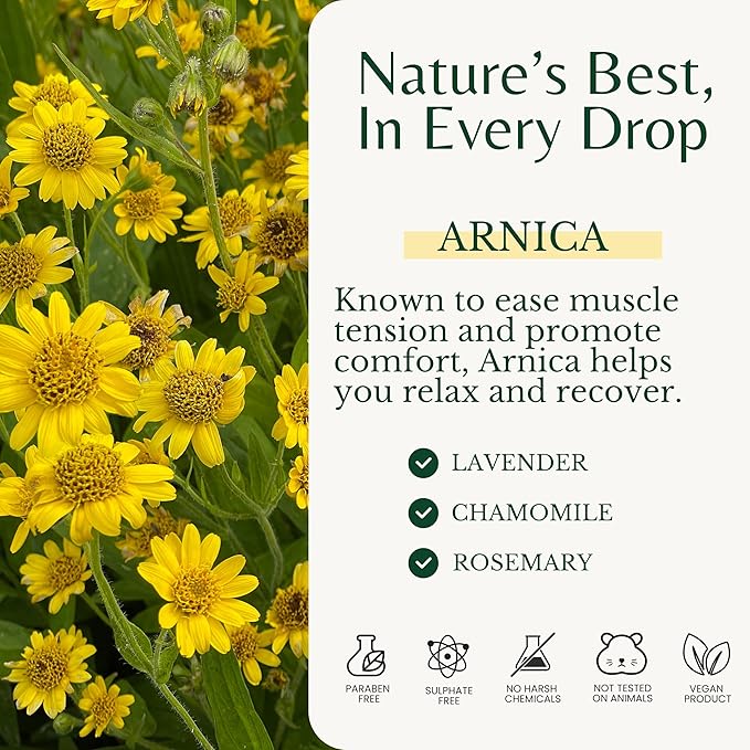 Arnica Sore Muscle Massage Oil for Massage Therapy, Relaxes, Soothes & Recoveres Stressed Muscles, Joint & Muscle Relief Rub & Massage Oil, 2-Pack