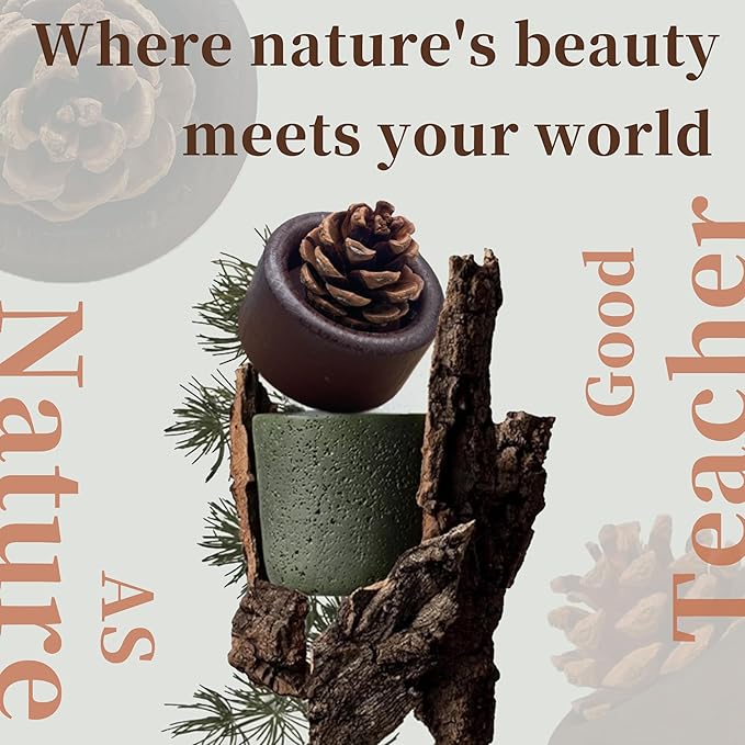 Pinecone Passive Diffuser - 2 Pack Natural Materials Essential Oil Diffusers Set, Needed for Small Spaces, Aromatherapy for Desk, Office, Home, Bedroom or Car Decor - Bloomnest