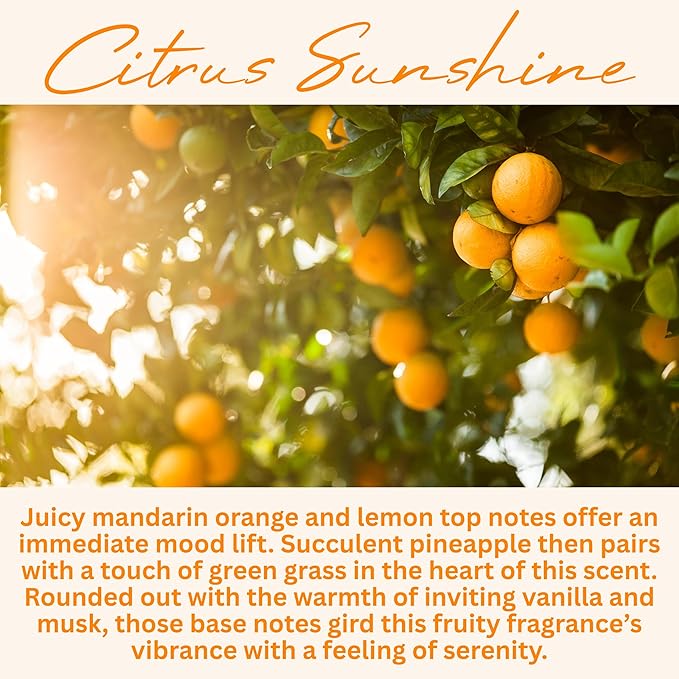 Citrus Sunshine Scented Candle, Many Scents to Choose from, All Natural Non-Toxic Soy Wax, Handmade in The USA (Citrus Sunshine) - Bloomnest